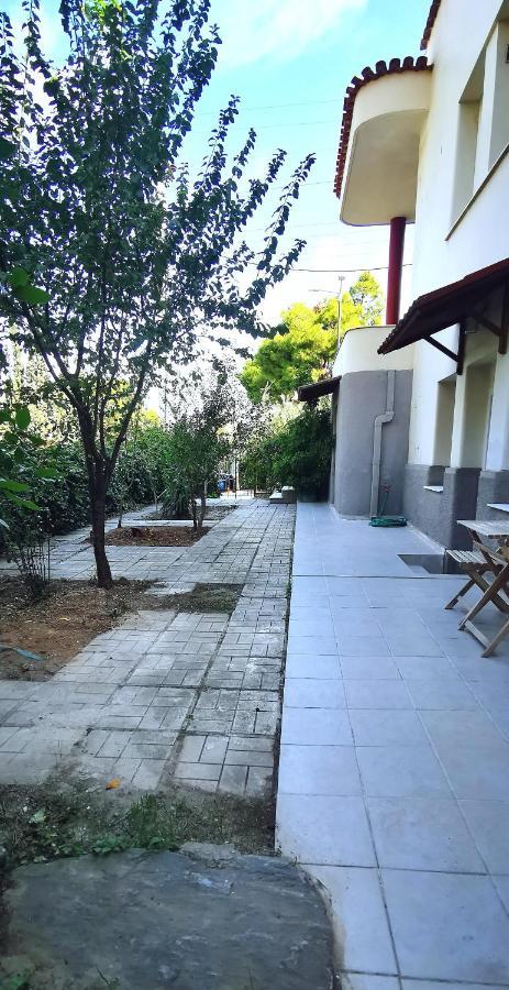 Amazon Spacious 3Bedroom Premium Neighbourhood Atina Dış mekan fotoğraf